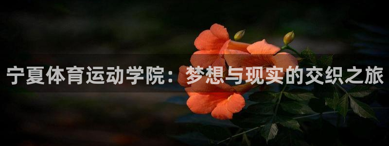 J9官网下载注册:宁夏体育运动学院:梦想与现实的交织之旅